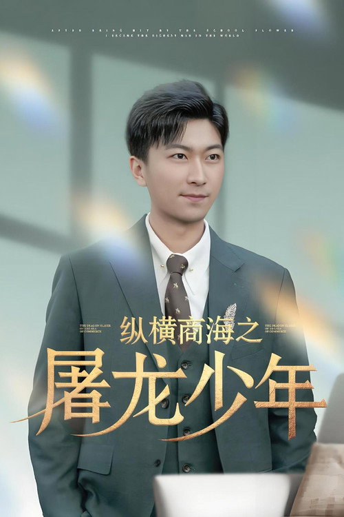 纵横商海之屠龙少年 poster
