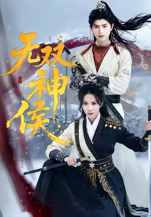 无双神侯 poster