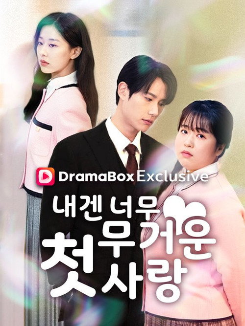내겐 너무 무거운 첫사랑 poster