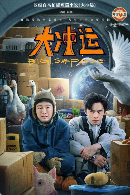 Big Surprise poster