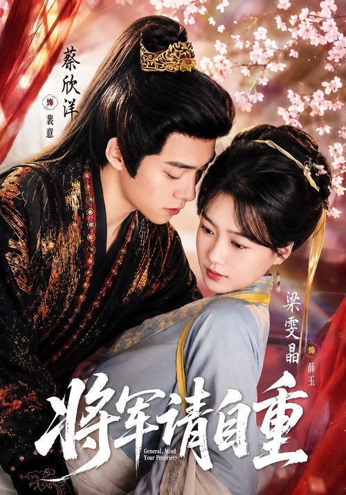 将军请自重 poster