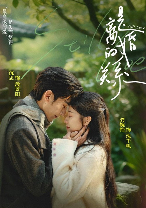 是离婚的关系 poster