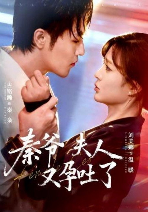 秦爷夫人又孕吐了 poster