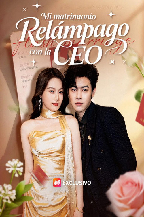 Flash Marriage To My Lady Boss poster