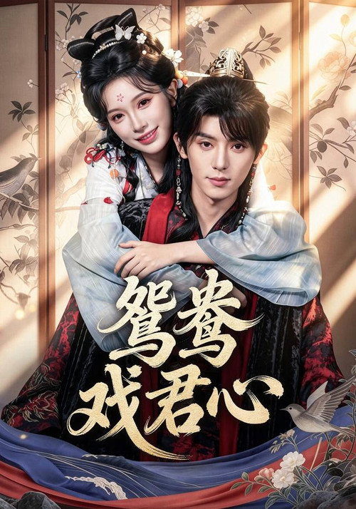 鸳鸯戏君心 poster