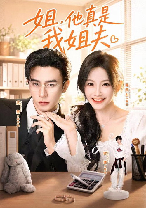 姐,他真是我姐夫 poster