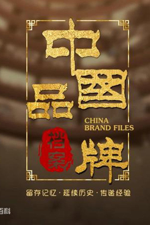 中国品牌档案 poster