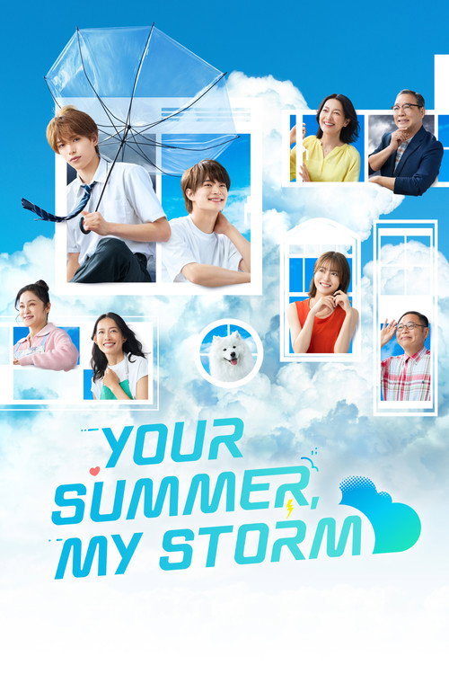Your Summer, My Storm poster