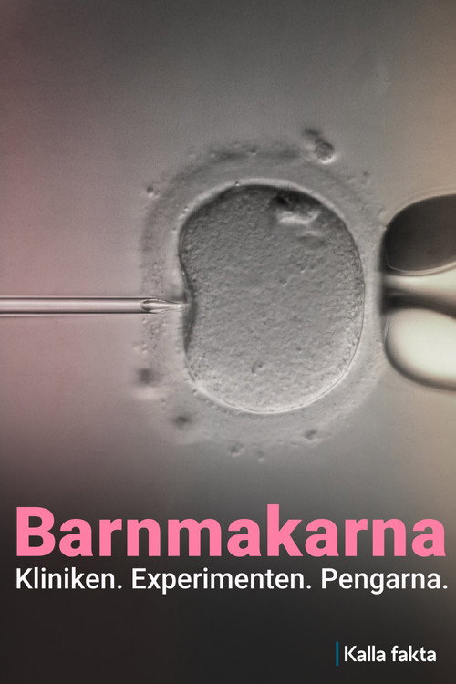 Kalla fakta: Barnmakarna poster