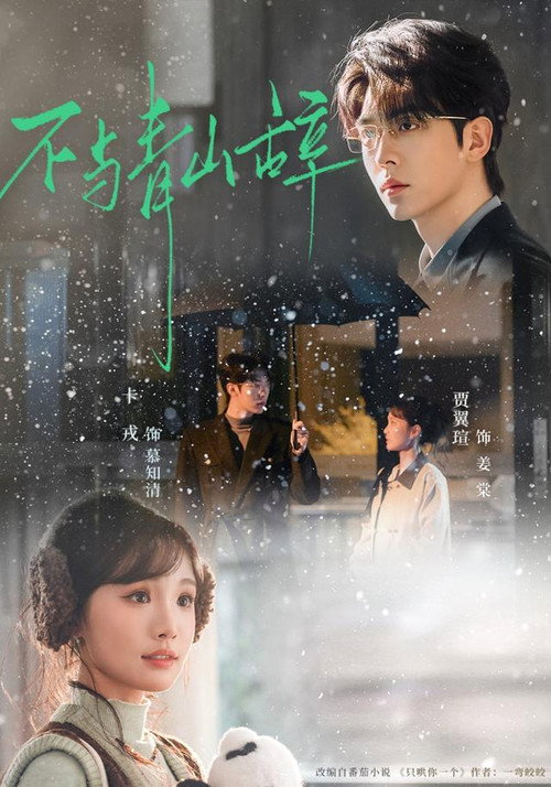 不与青山辞 poster