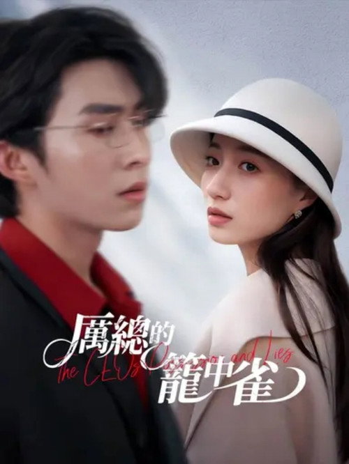厲總的籠中雀 poster