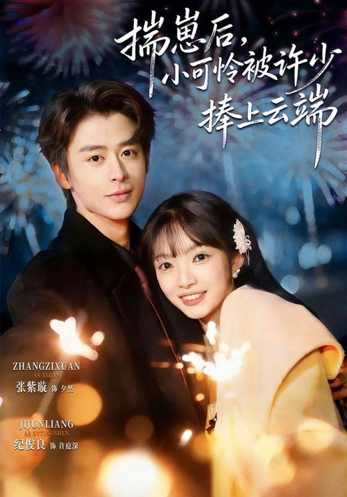 揣崽后，小可怜被许少捧上云端 poster