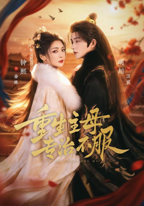 重生主母，专治不服 poster