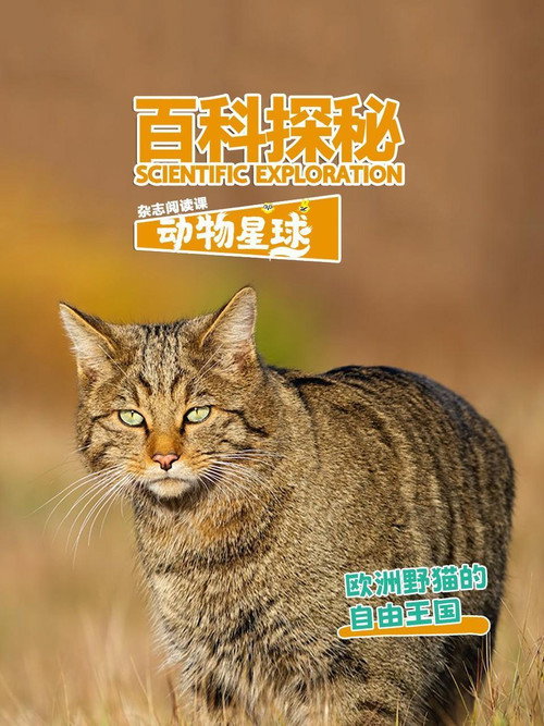 百科探秘动物星球 poster