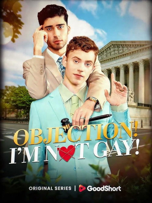 Objection! I'm Not Gay! poster