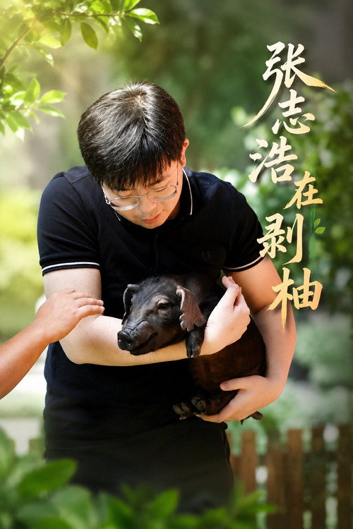张志浩在剥柚 poster
