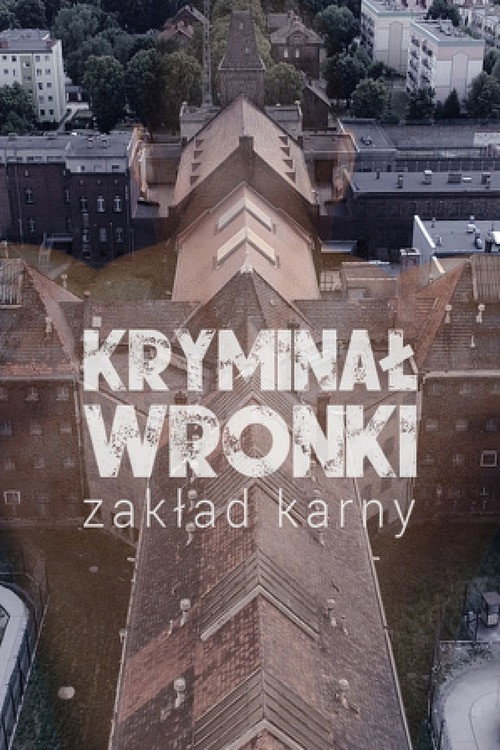 Kryminał Wronki poster