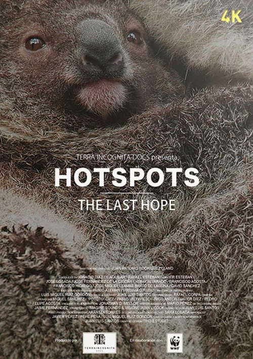 Hotspots: la última esperanza poster