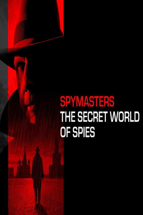 Maestros del espionaje poster