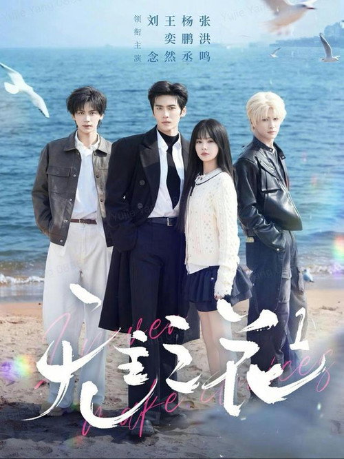 无主之花 poster
