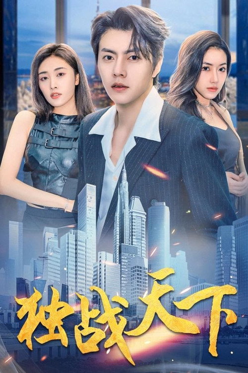 独战天下 poster