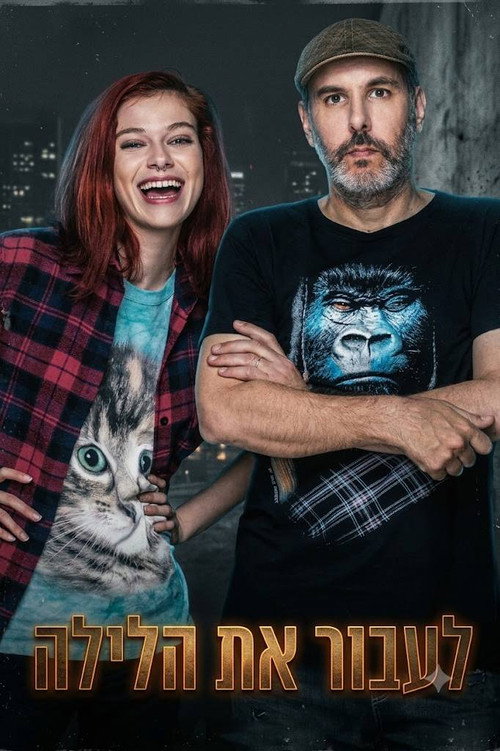 לעבור את הלילה poster