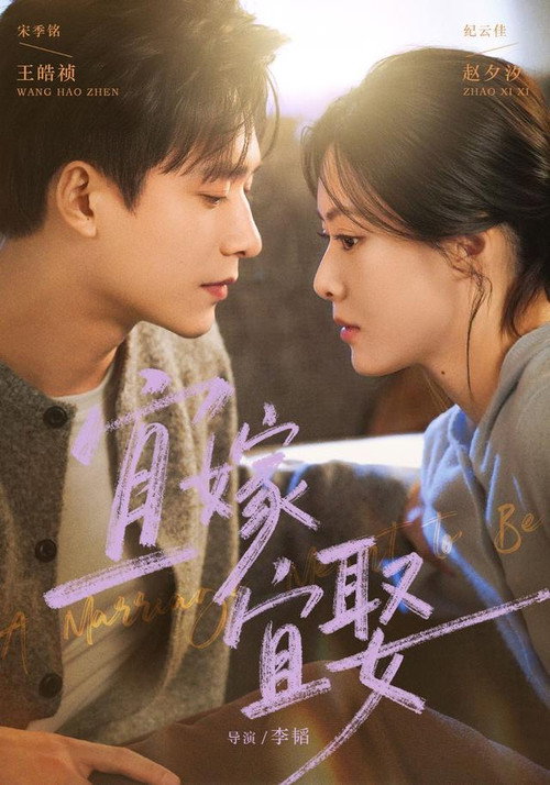 宜嫁宜娶 poster