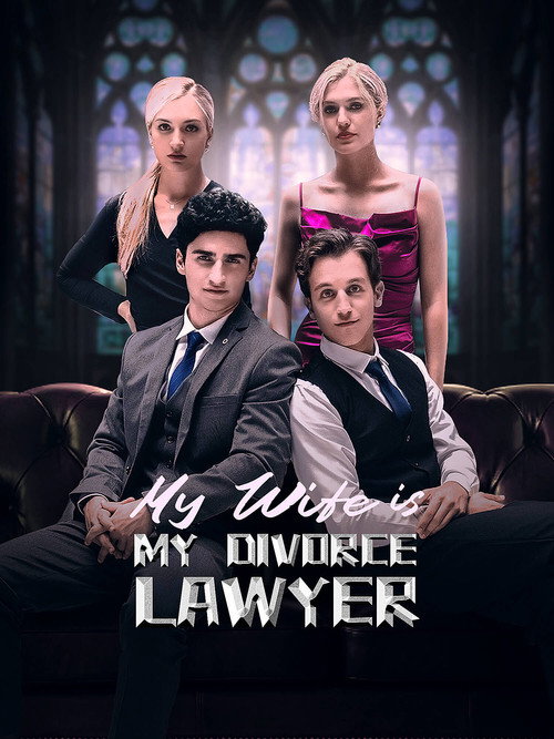 My Wife is My Divorce Lawyer poster