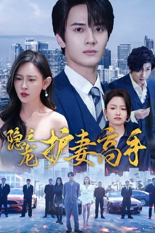 隐龙之护妻高手 poster