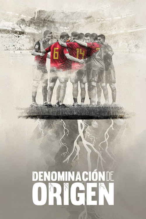 Denominación De Origen poster