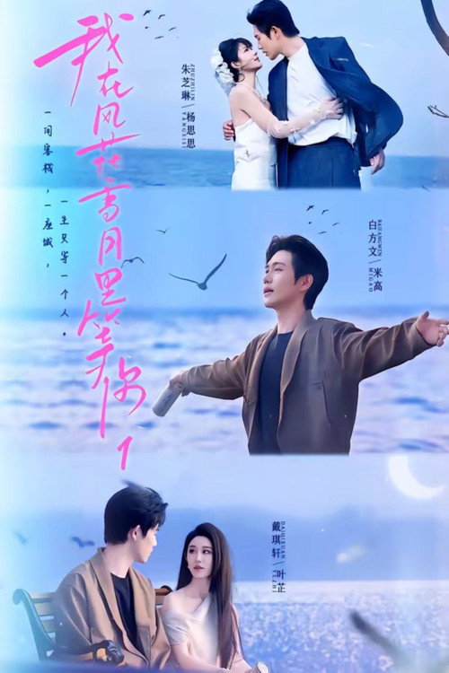 我在风花雪月里等你 poster