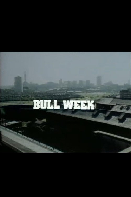Bull Week poster