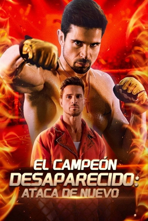 El campeón desaparecido poster