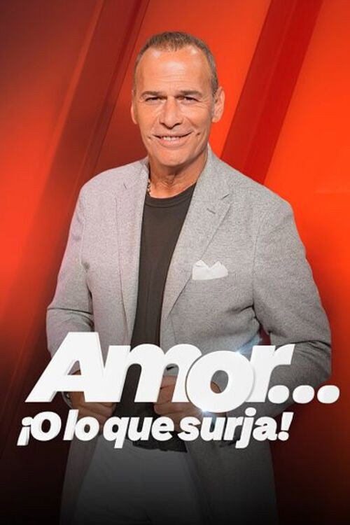 Amor... ¡o lo que surja! poster