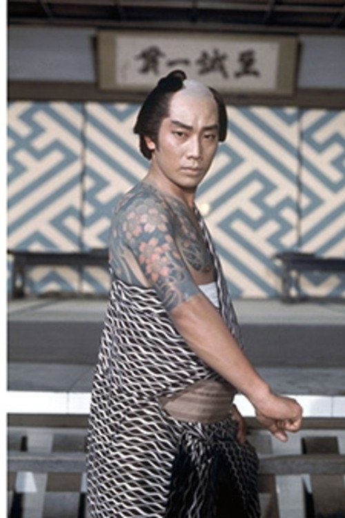 ご存じ金さん捕物帳 poster