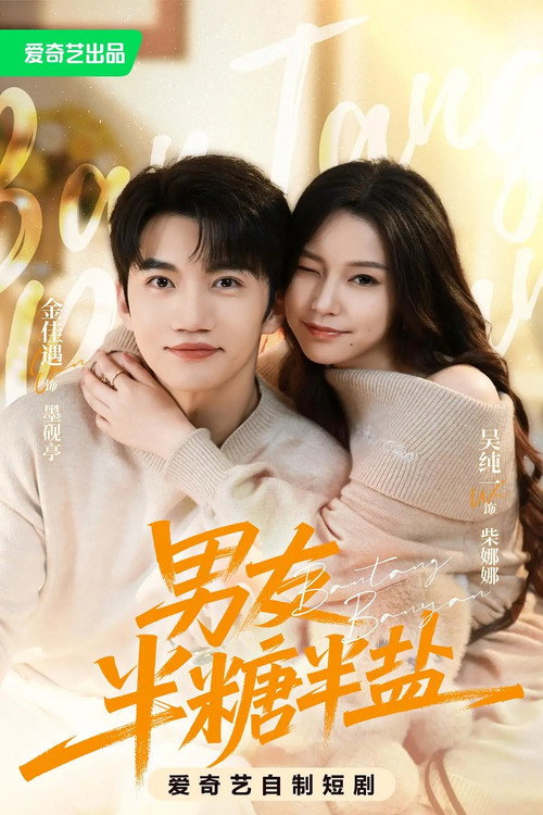 男友半糖半盐 poster