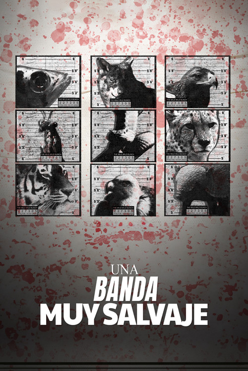 The Wild Wild Bunch poster