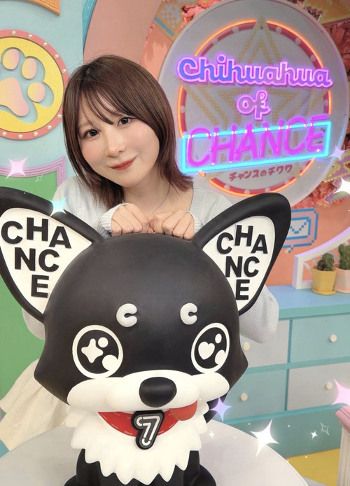 チャンスのチワワ poster