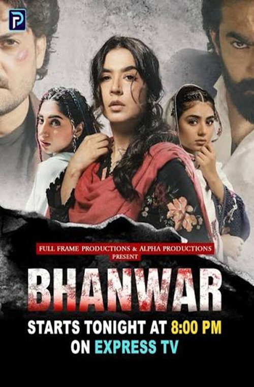 Bhanwar poster