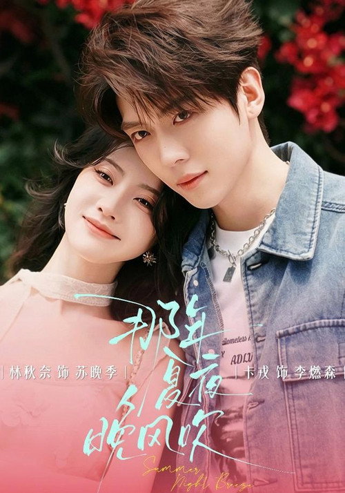 那年夏夜晚风吹 poster