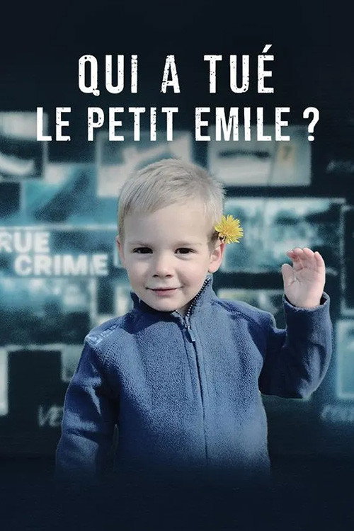 Qui a tué le petit Emile ? poster