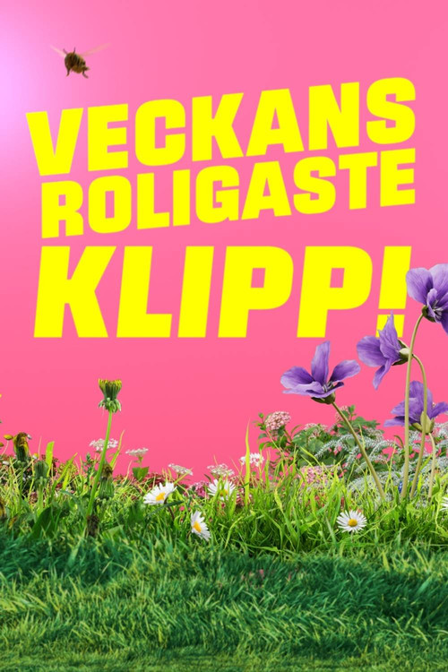 Veckans roligaste klipp poster