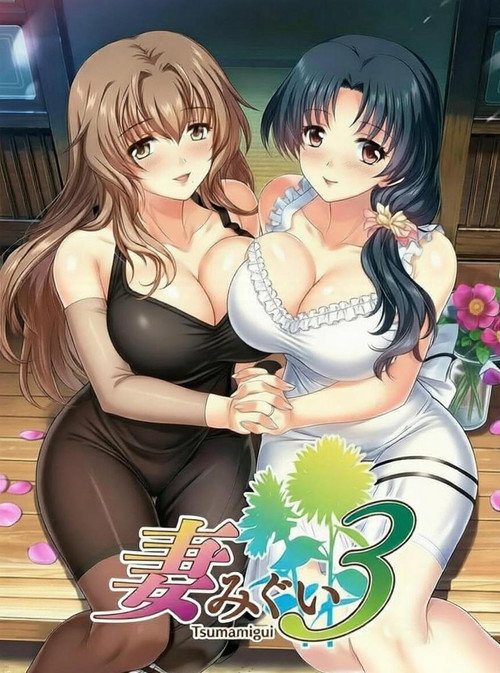 妻みぐい3 poster