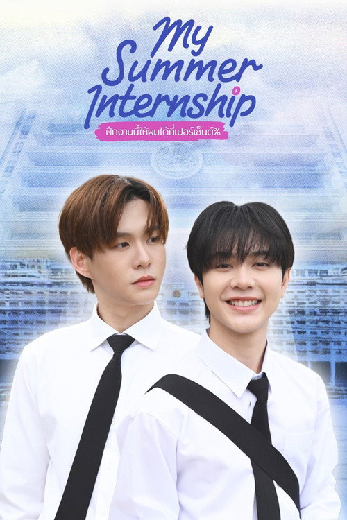 My Summer Internship poster