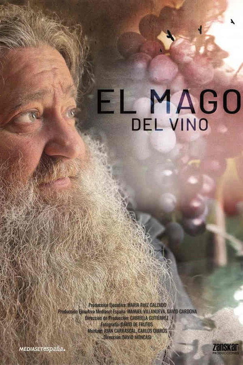 El Mago Del Vino poster