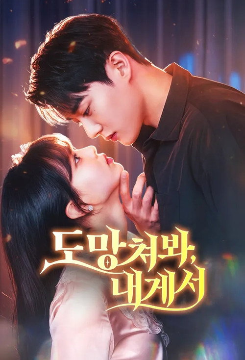 Run From Me If You Can poster