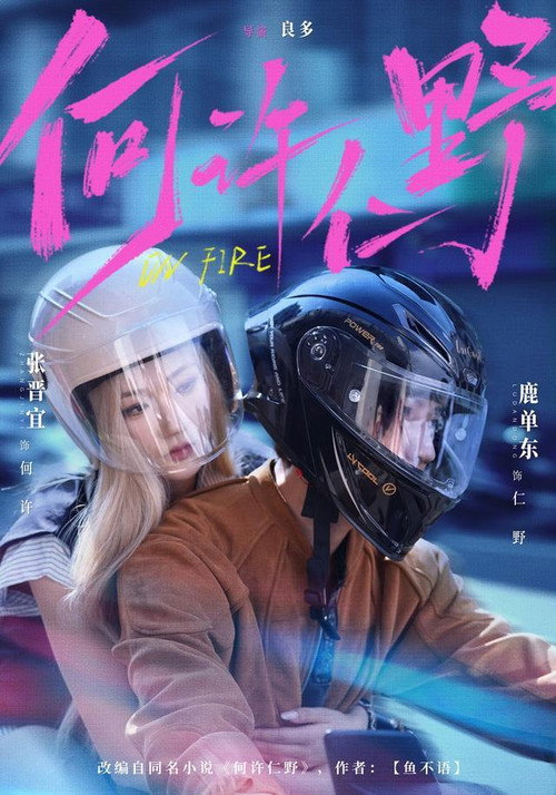 何许仁野 poster