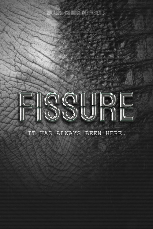 FISSURE poster