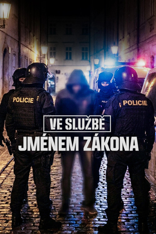 Ve službě: Jménem zákona poster
