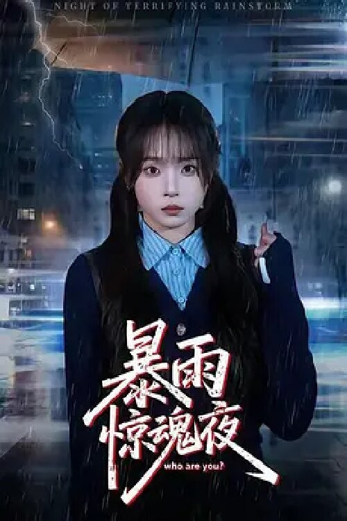 暴雨惊魂夜 poster